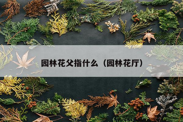 园林花父指什么（园林花厅）