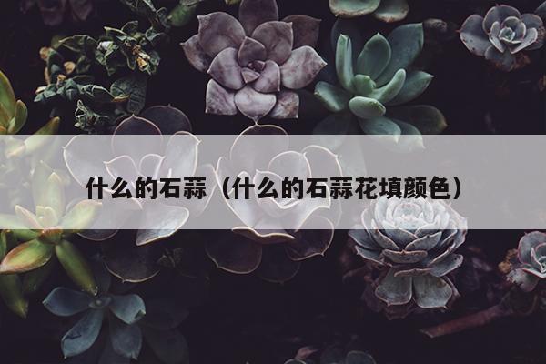 什么的石蒜（什么的石蒜花填颜色）