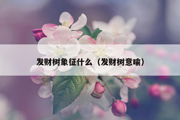 发财树象征什么（发财树意喻）