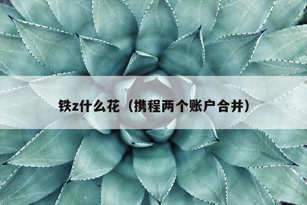 铁z什么花（携程两个账户合并）