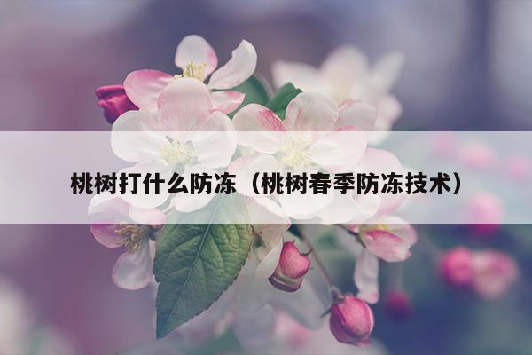 桃树打什么防冻（桃树春季防冻技术）