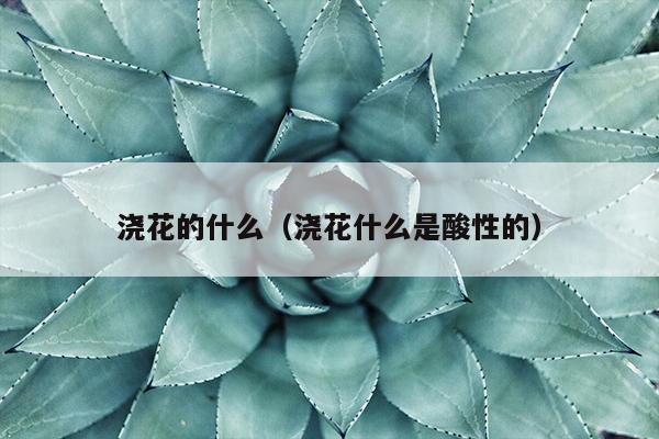 浇花的什么（浇花什么是酸性的）