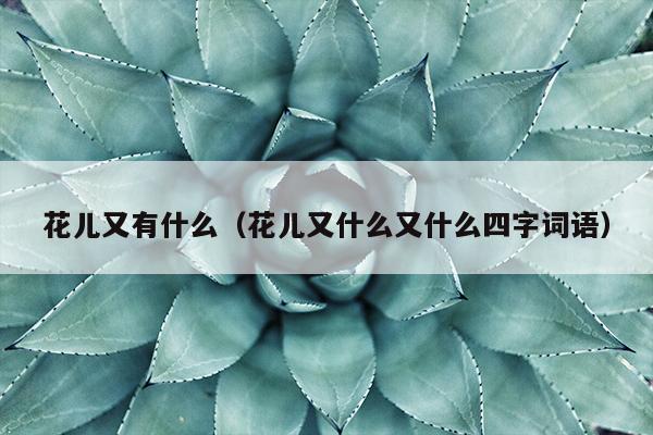 花儿又有什么（花儿又什么又什么四字词语）