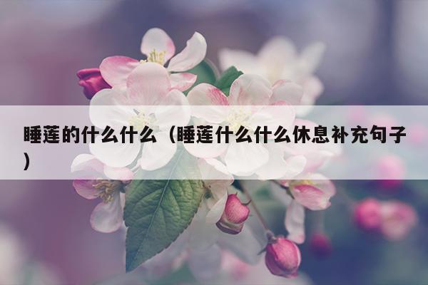 睡莲的什么什么（睡莲什么什么休息补充句子）