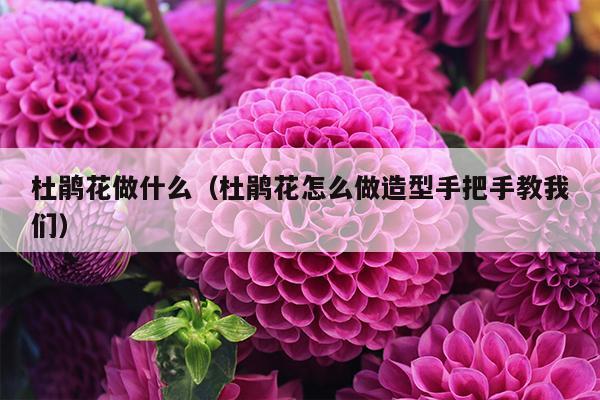 杜鹃花做什么（杜鹃花怎么做造型手把手教我们）