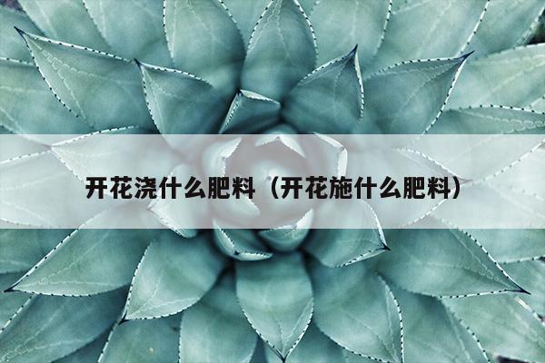 开花浇什么肥料（开花施什么肥料）