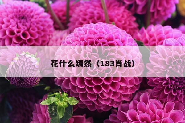 花什么嫣然（183肖战）