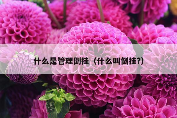 什么是管理倒挂（什么叫倒挂?）