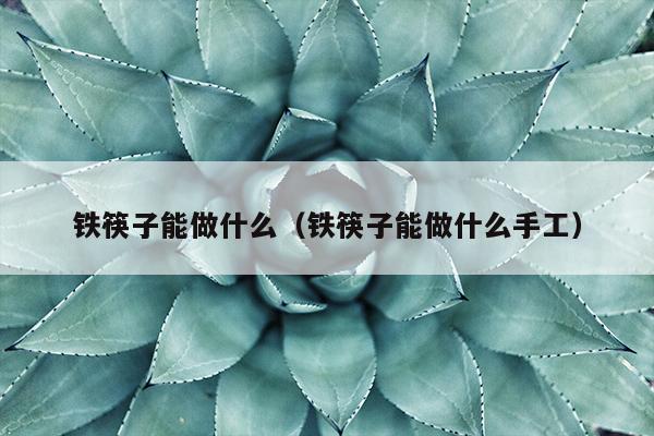 铁筷子能做什么（铁筷子能做什么手工）