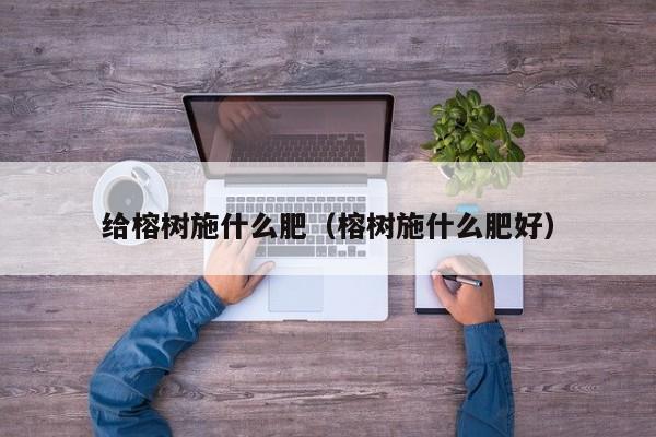 给榕树施什么肥（榕树施什么肥好）