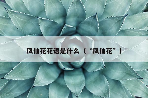 凤仙花花语是什么（“凤仙花”）