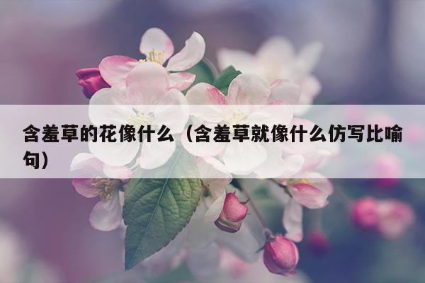 含羞草的花像什么（含羞草就像什么仿写比喻句）