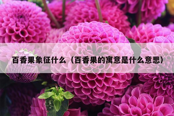 百香果象征什么（百香果的寓意是什么意思）