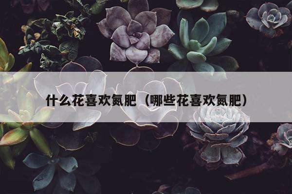 什么花喜欢氮肥（哪些花喜欢氮肥）