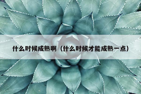 什么时候成熟啊（什么时候才能成熟一点）