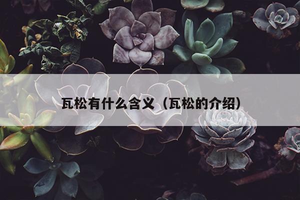 瓦松有什么含义（瓦松的介绍）