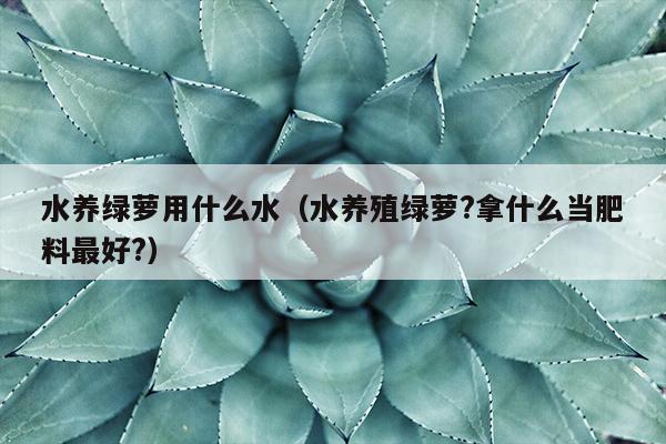 水养绿萝用什么水（水养殖绿萝?拿什么当肥料最好?）