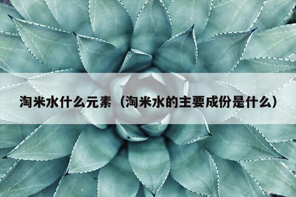 淘米水什么元素（淘米水的主要成份是什么）