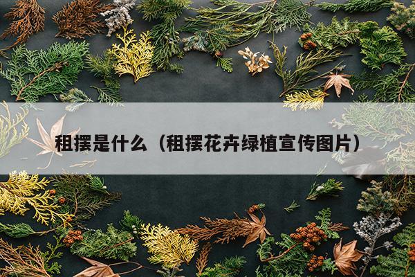 租摆是什么（租摆花卉绿植宣传图片）