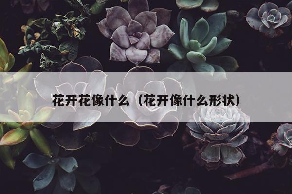 花开花像什么（花开像什么形状）