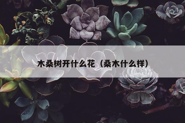 木桑树开什么花（桑木什么样）