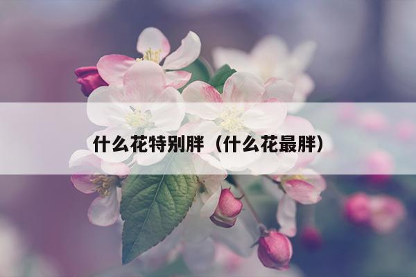 什么花特别胖（什么花最胖）