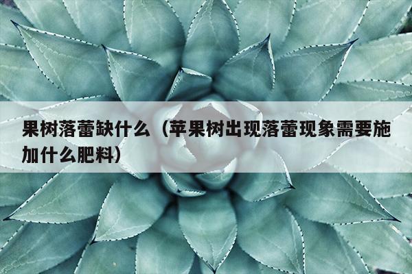 果树落蕾缺什么（苹果树出现落蕾现象需要施加什么肥料）