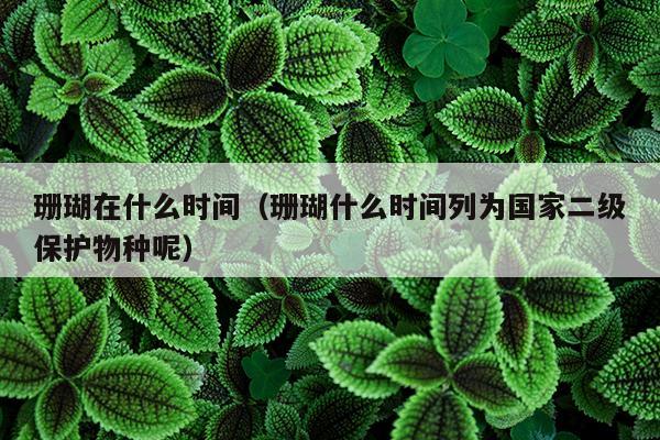 珊瑚在什么时间（珊瑚什么时间列为国家二级保护物种呢）