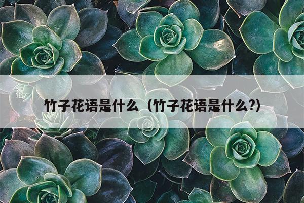 竹子花语是什么（竹子花语是什么?）