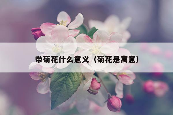 带菊花什么意义（菊花是寓意）