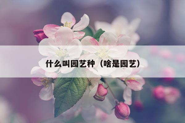 什么叫园艺种（啥是园艺）