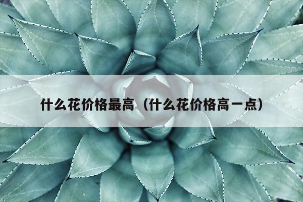 什么花价格最高（什么花价格高一点）