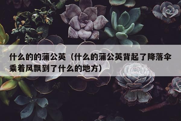 什么的的蒲公英（什么的蒲公英背起了降落伞乘着风飘到了什么的地方）