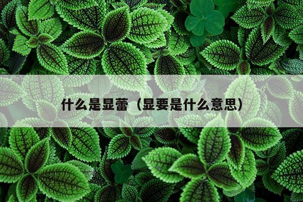 什么是显蕾（显要是什么意思）