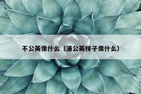 不公英像什么（浦公英样子像什么）