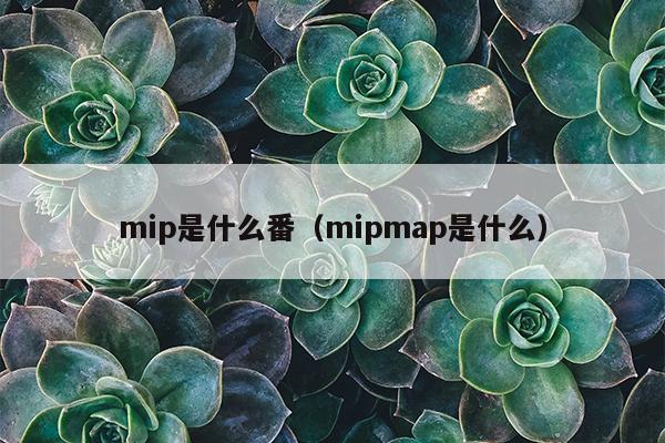 mip是什么番（mipmap是什么）