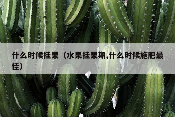 什么时候挂果（水果挂果期,什么时候施肥最佳）