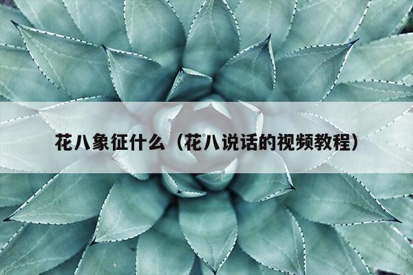 花八象征什么（花八说话的视频教程）