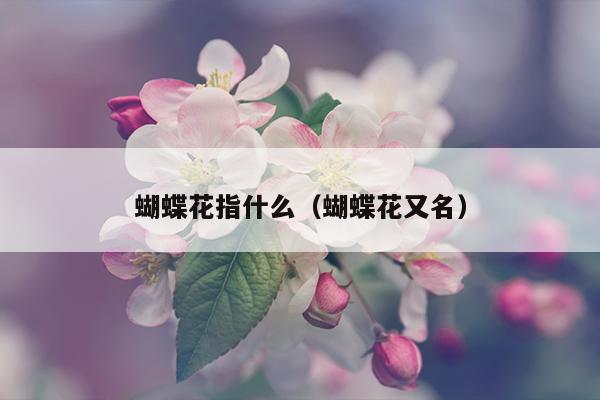 蝴蝶花指什么（蝴蝶花又名）