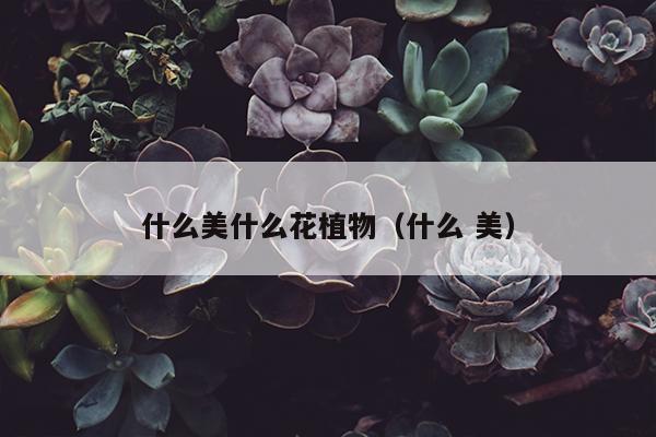 什么美什么花植物（什么 美）