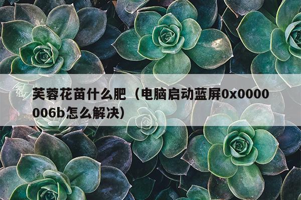 芙蓉花苗什么肥（电脑启动蓝屏0x0000006b怎么解决）