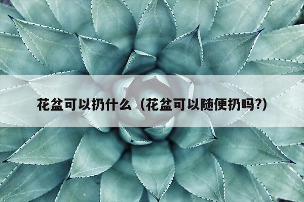 花盆可以扔什么（花盆可以随便扔吗?）