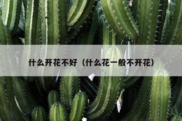 什么开花不好（什么花一般不开花）