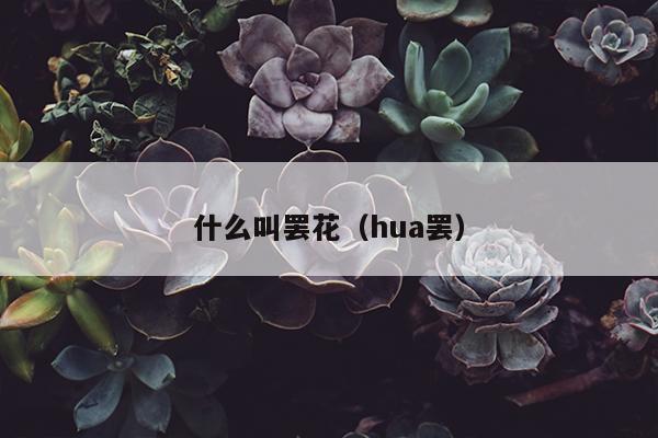 什么叫罢花（hua罢）