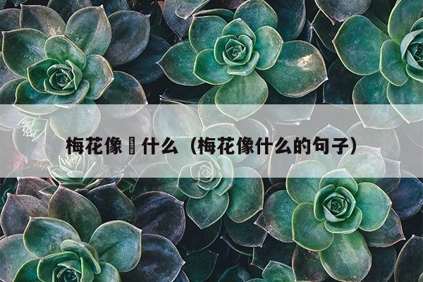 梅花像佂什么（梅花像什么的句子）