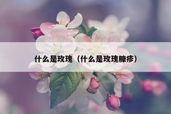 什么是玫瑰（什么是玫瑰糠疹）