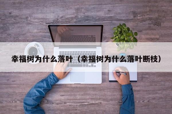 幸福树为什么落叶（幸福树为什么落叶断枝）