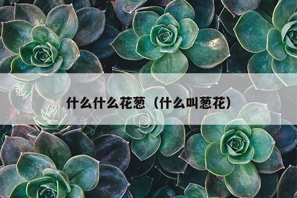 什么什么花葱（什么叫葱花）