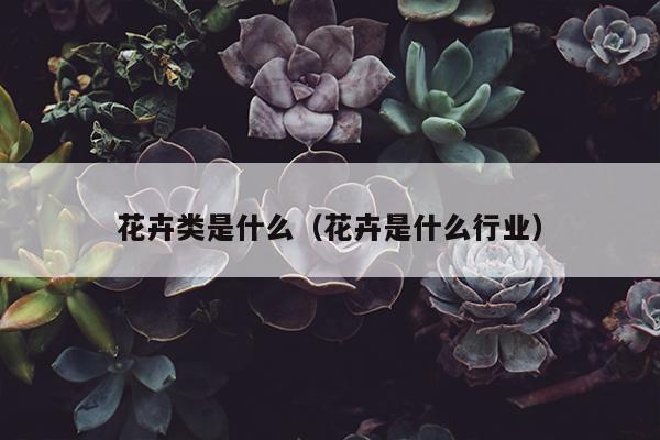 花卉类是什么（花卉是什么行业）